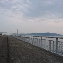 マイクロジギング