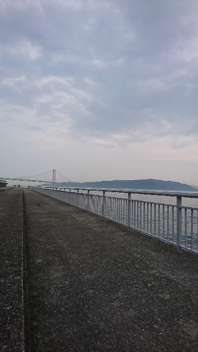 マイクロジギング