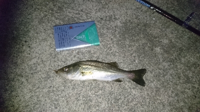 仕事を途中で切り上げヘチ