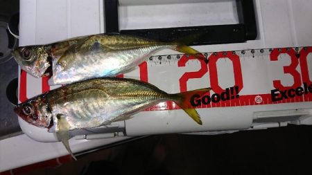 厳しかったぁー