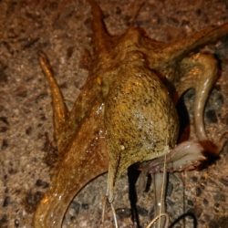 初めての投稿です( ̄▽ ̄)v