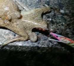 仕事終わりの一打ちでGET!