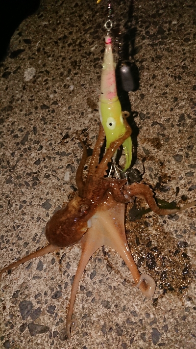 ロッドを新調しましたので墨付けです！