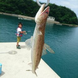 本日の釣果