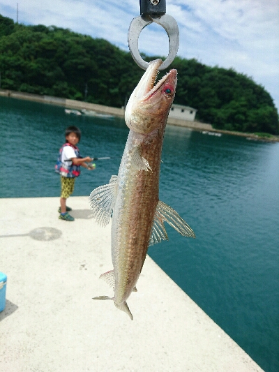 本日の釣果