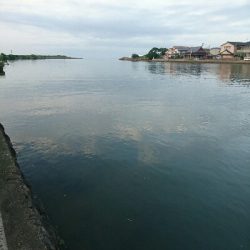 今日の釣果