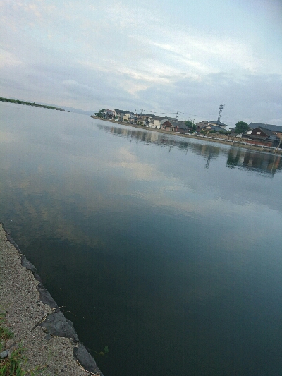 今日の釣果