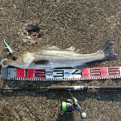 良い感じの海でした。