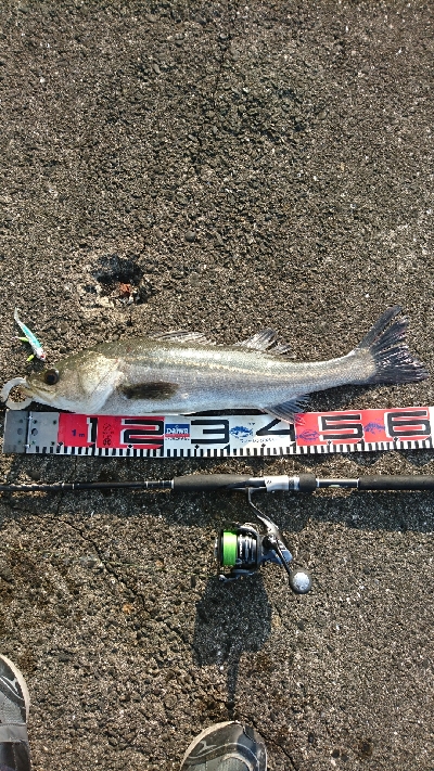 良い感じの海でした。