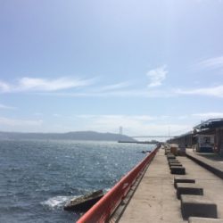 今週も水潮、さらに向い風