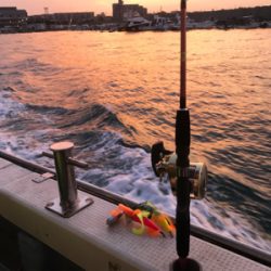 明石タコ釣り【がまかつ仕様】