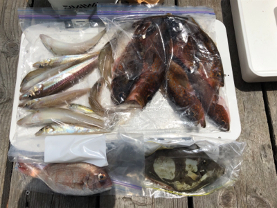 手漕ぎボート5目釣り