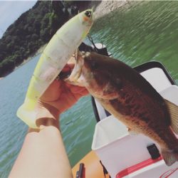 一庫ダム初！？バラムフィッシュ！