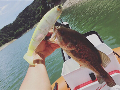 一庫ダム初！？バラムフィッシュ！