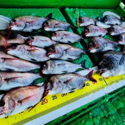 鯛ラバ 好釣果でした!