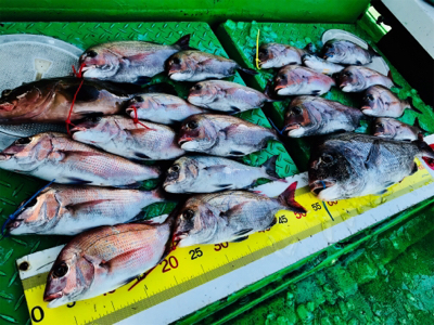 鯛ラバ 好釣果でした!