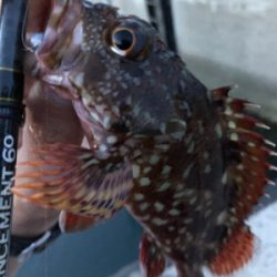 子供と海水浴帰りに♪
