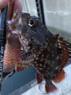 子供と海水浴帰りに♪