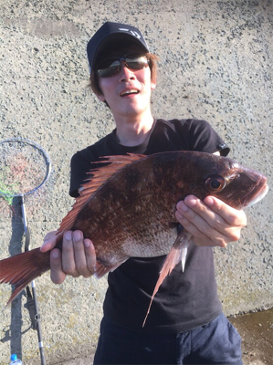 シーバス狙いでマダイが釣れた