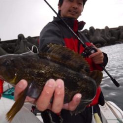 ナイトボートロック