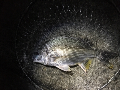 ボウズかと思った