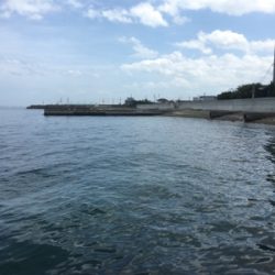 和歌山遠征 岬町でちょい投げ