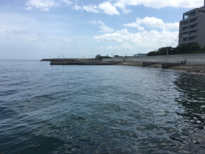 和歌山遠征 岬町でちょい投げ