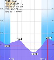 淀川ブリームゲーム 潮の流れを読む