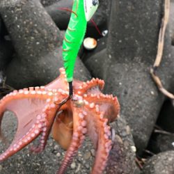 やっと、始まったかな？