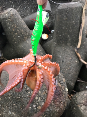 やっと、始まったかな？