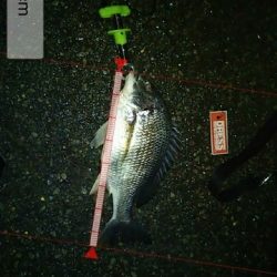 夕涼みを兼ねて