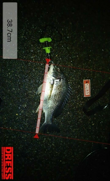 夕涼みを兼ねて