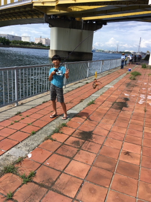 オクトパッシング