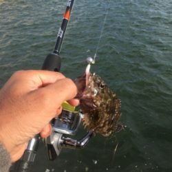 いつもの癒しスポット