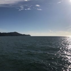 大雨後中1日目の様子