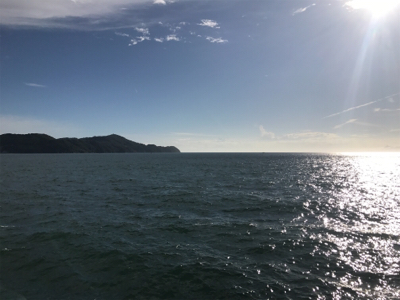大雨後中1日目の様子
