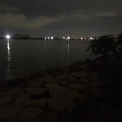 淀川ブリームゲーム 長雨ののちのキビレ