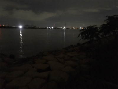 淀川ブリームゲーム 長雨ののちのキビレ