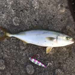 HEY!ツバスくん!