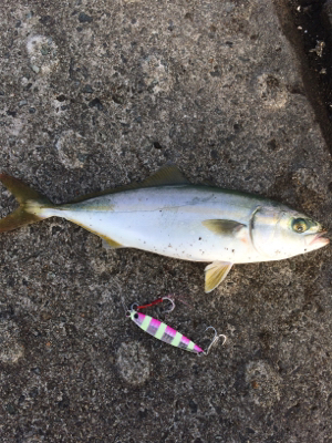 HEY!ツバスくん！