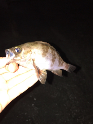 あかーん！！！