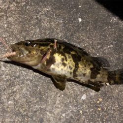 結局ガシリング