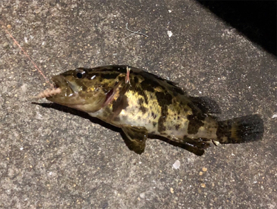 結局ガシリング