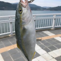 大きいサイズは周っていない⁉︎