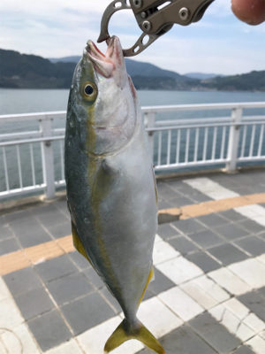 大きいサイズは周っていない⁉…