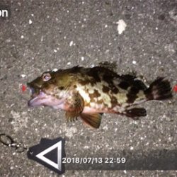 まだまだスキルが足りません