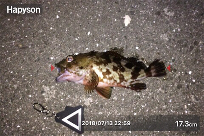 まだまだスキルが足りません