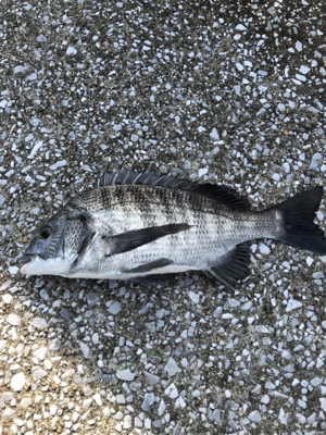 暑さに負けずに！