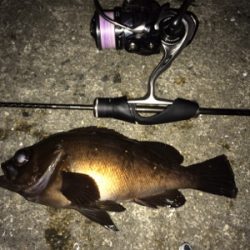 メバリングナイトゲーム☆GUNNING-STYLE