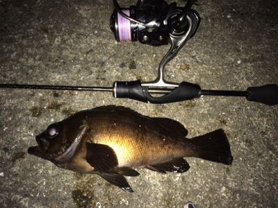 メバリングナイトゲーム☆GUNNING-S…